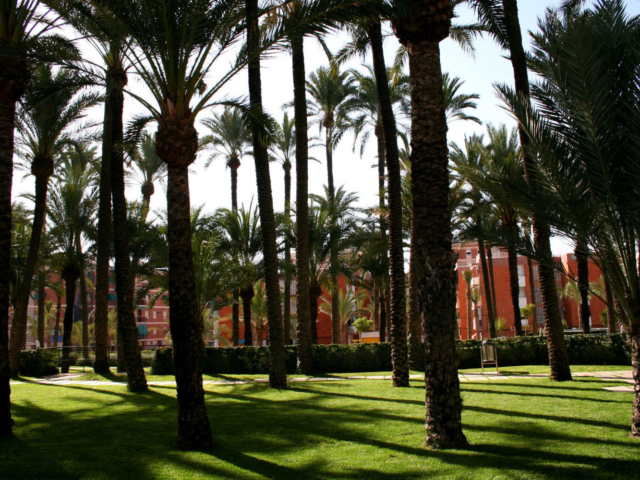 Park "Parc el Palmeral"